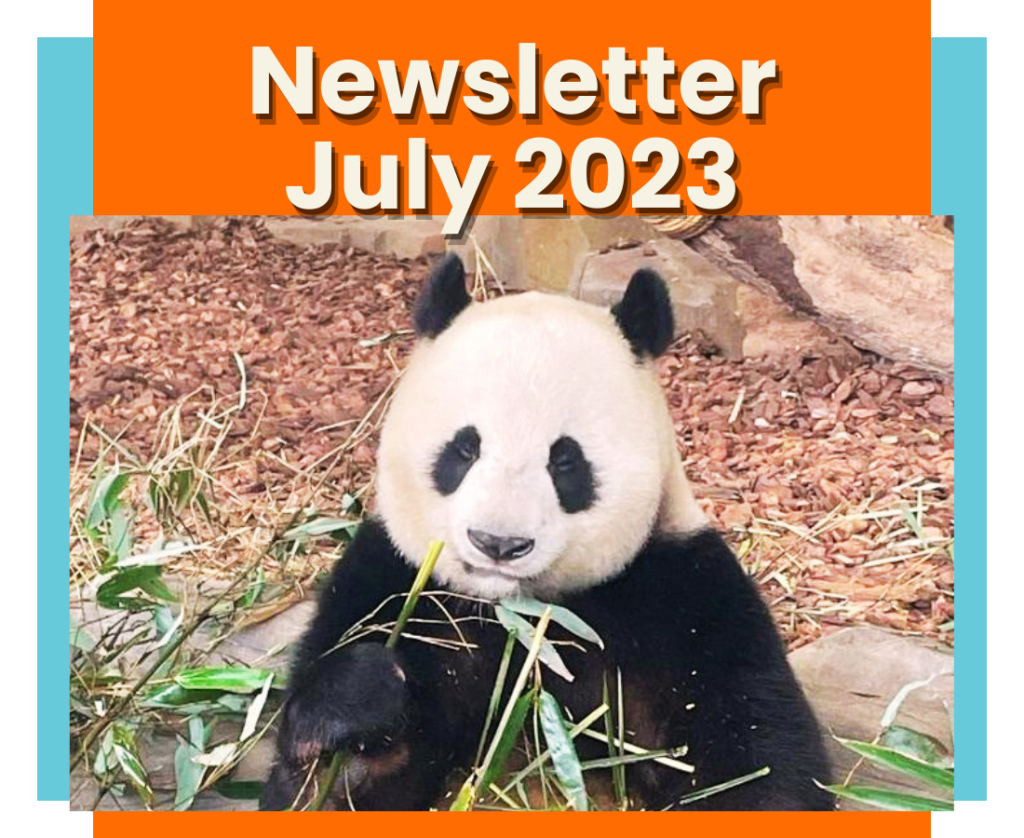 A cover page for our July 2023 newsletter. A picture of a panda bear eating bamboo is in the center.
